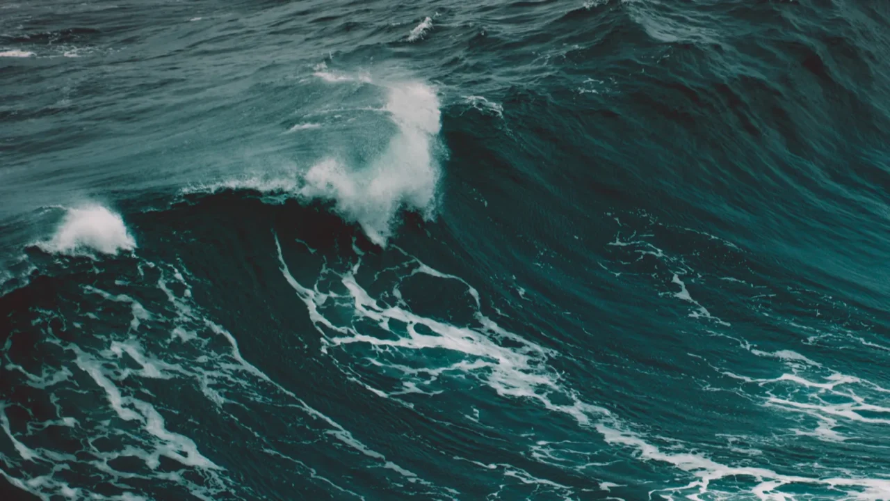 big wave with white foam