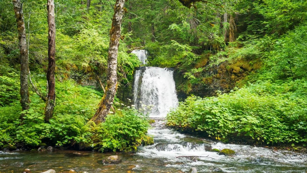 breathtaking two tiered twin falls in a lush rainforest setting