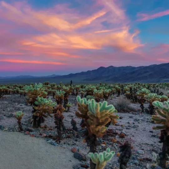 12 mystical places in the United States you must experience