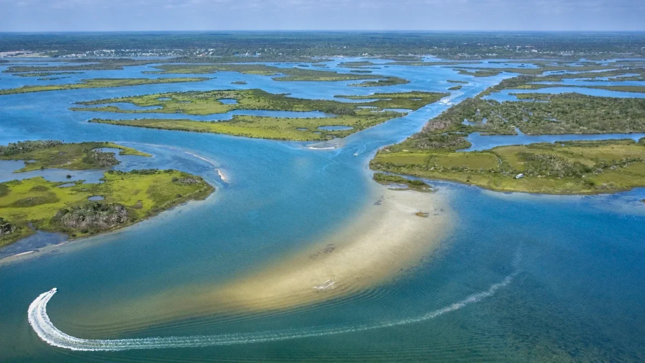 coastal wetland marsh
