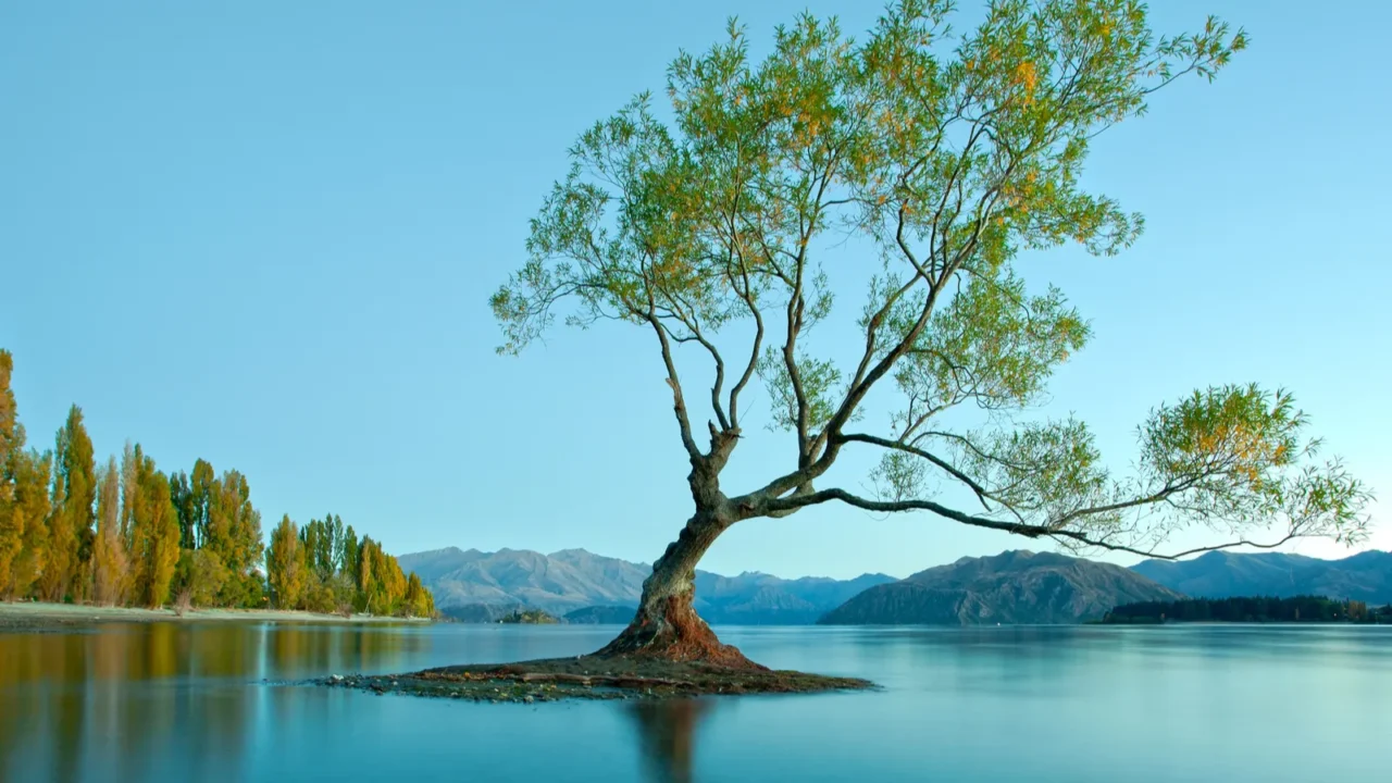 colourful lake wanaka new zealand