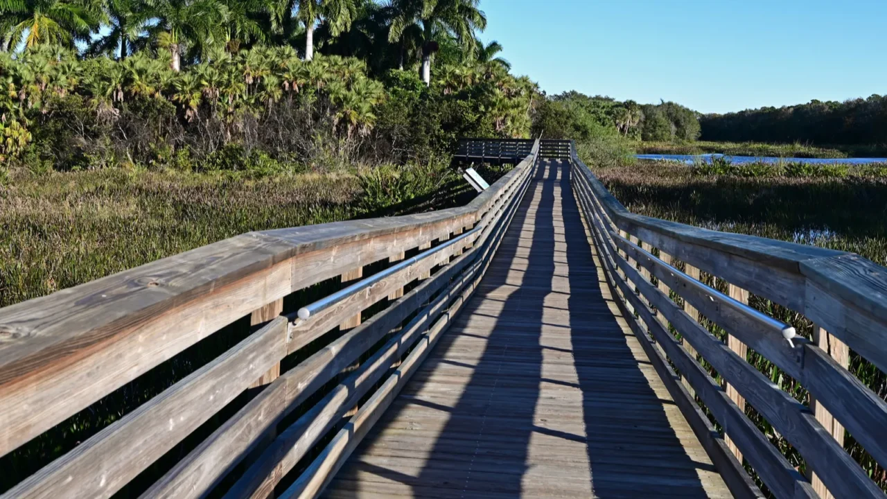 elevated boardwalk at green cay nature center and wetlands in