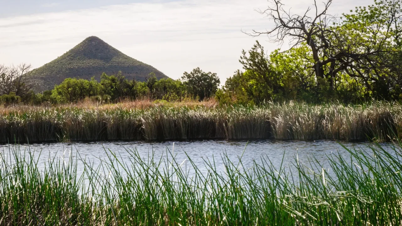 guadalupe mountains national park
