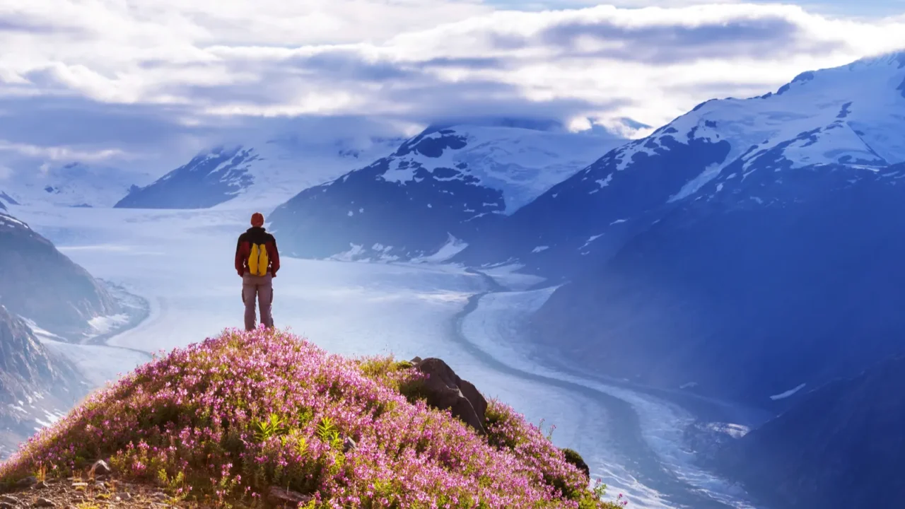 Hike in Alaska at summertime.
