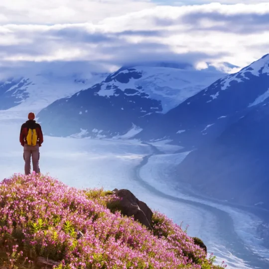 What I discovered on a summer trip through Alaska’s wild Kenai Peninsula