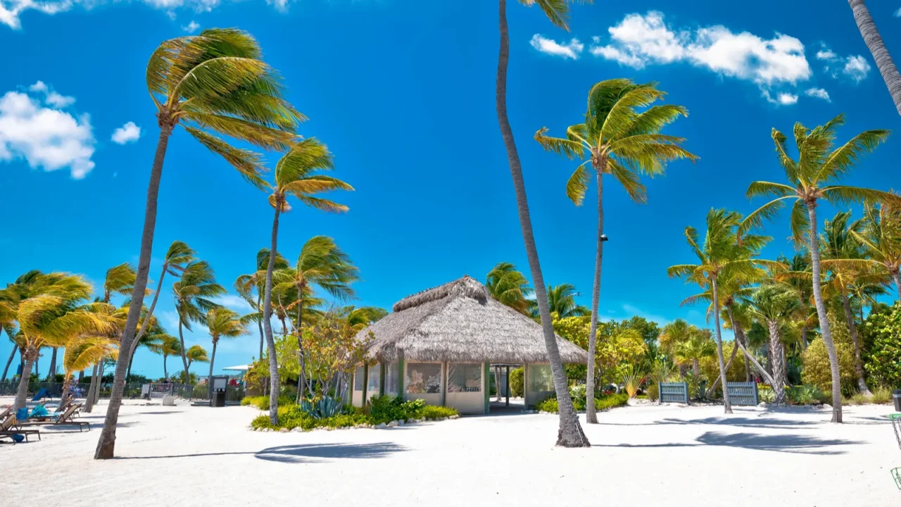 idyllic white sand beach in islamorada on florida keys florida