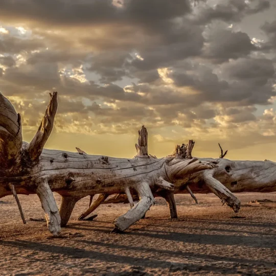Locals reveal the hidden secrets of California’s most haunted desert