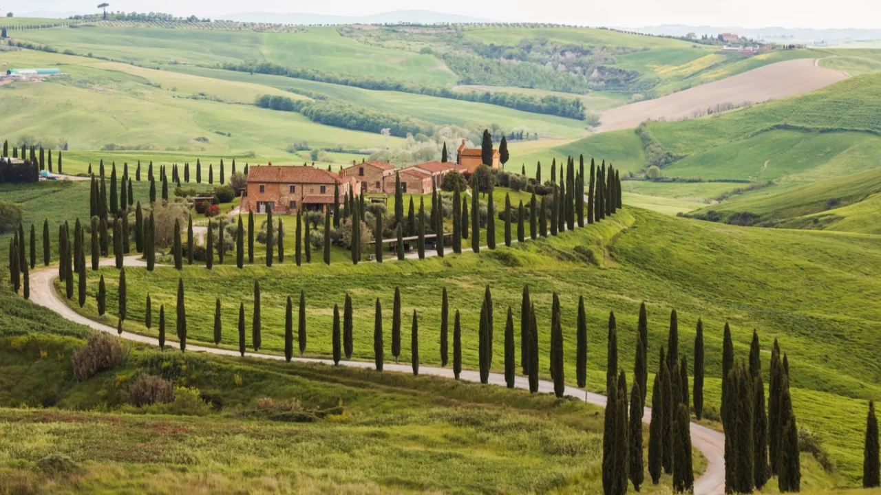 lush green hills extend into the distance lined with tall