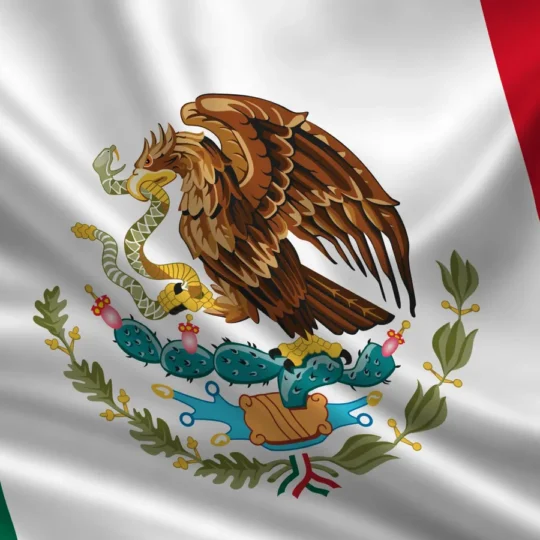 What’s behind the US travel warning for Mexico?