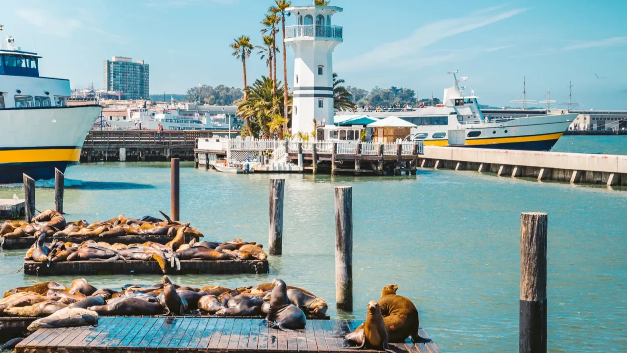 pier 39 with famous sea lions san francisco usa