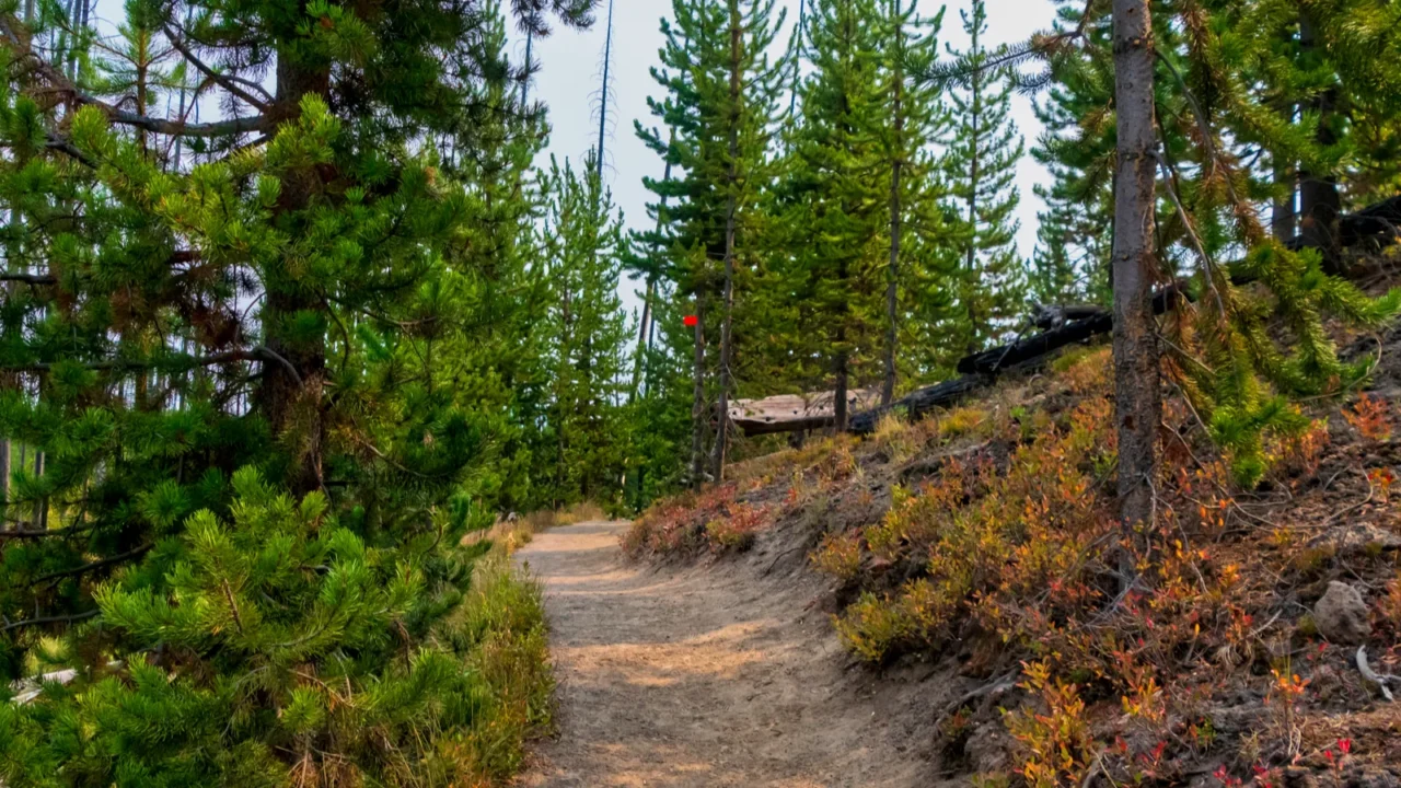 relaxing hiking trail in yellowstone national park wyoming