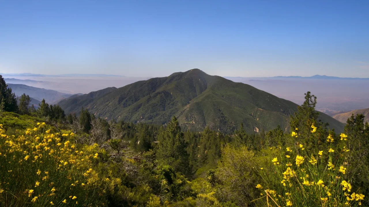 san bernardino national forest causa near big bear lake