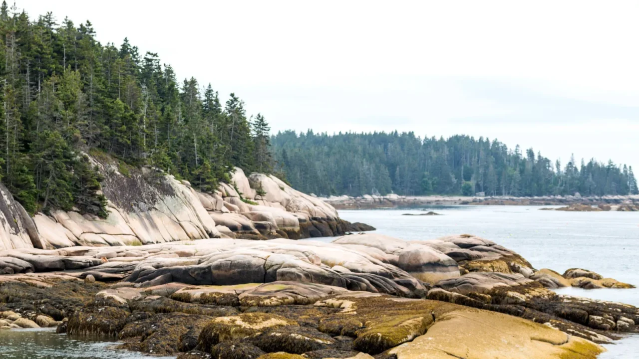 scenic view of part of vinalhaven island maine