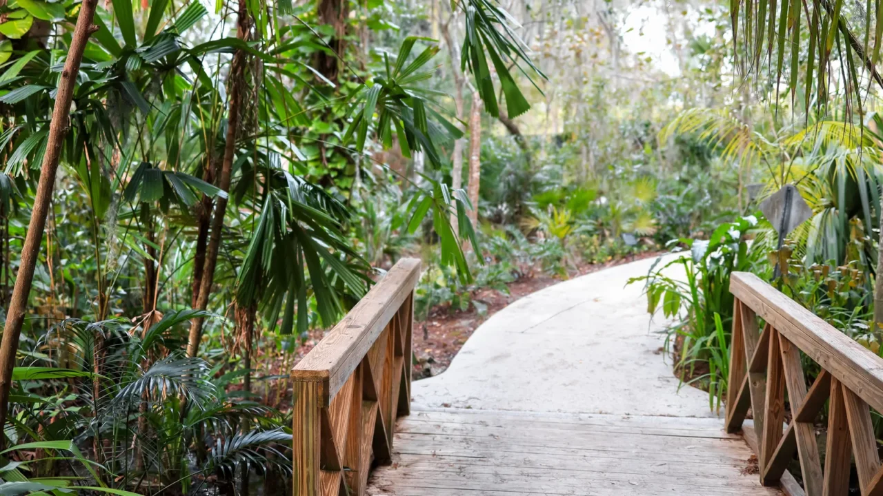 scenic view of walk way in tropical plant garden in