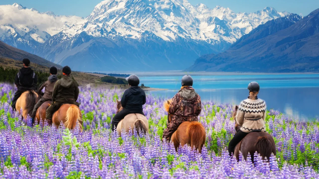 travelers ride horses in lupine flower field overlooking the beautiful