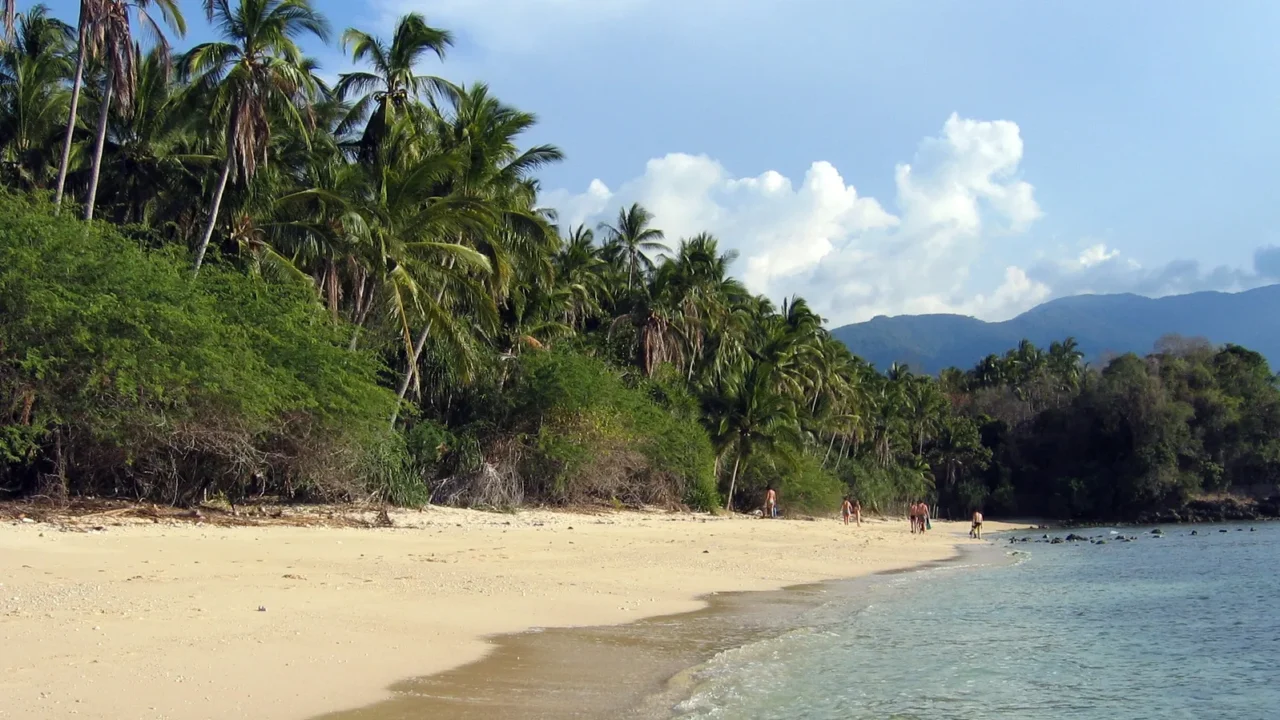 tropical beach jungle puerto galera mindoro in the philippines