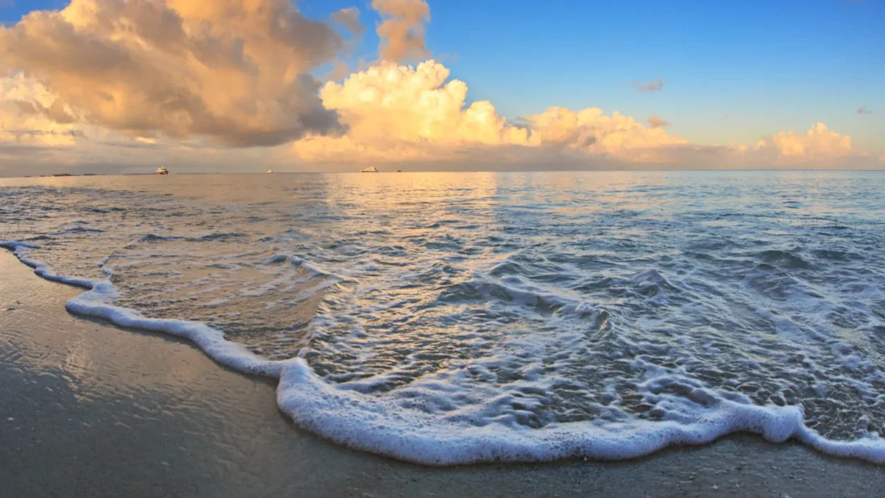 tropical maldivian beach at sunrise with foam line on sand
