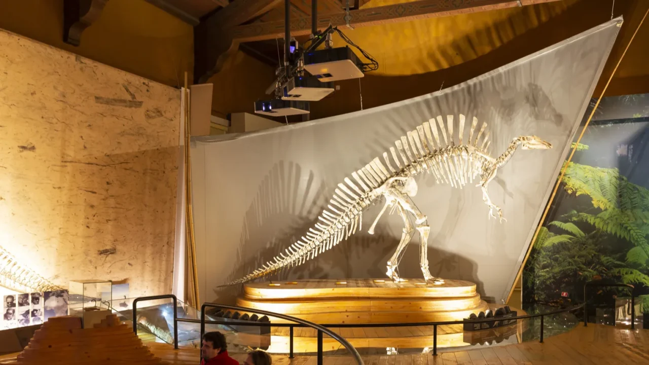 venice italy 2023 february 21 interior of the natural history