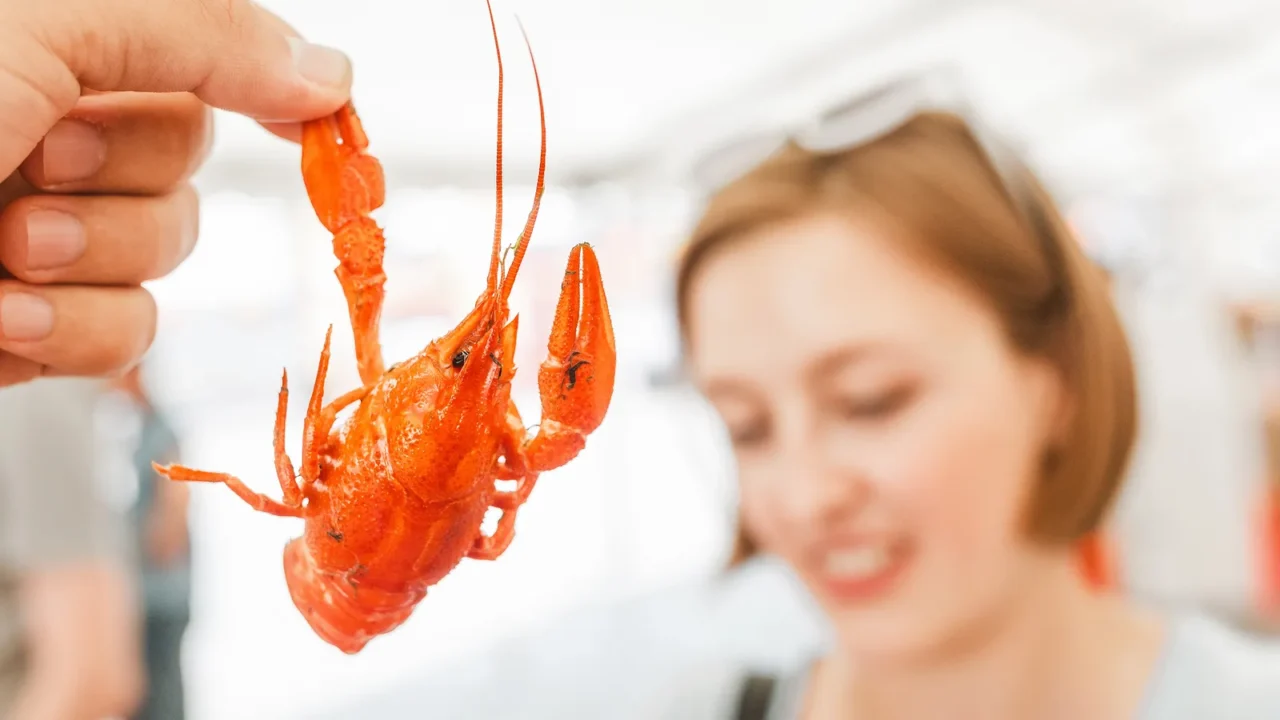 young woman eating red boiled delicious crayfish or crawfish river