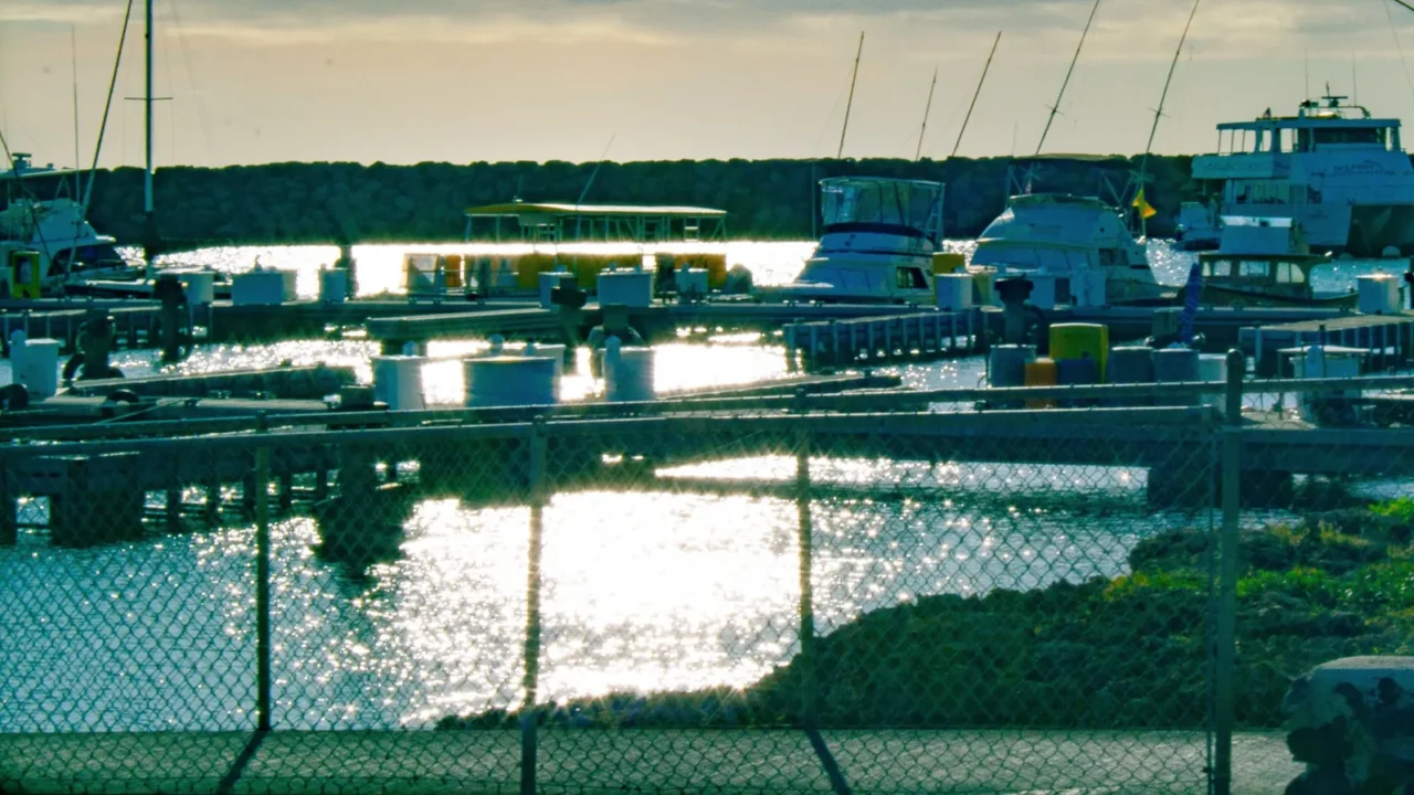 a beautiful view of a harbor under shiny sun rays