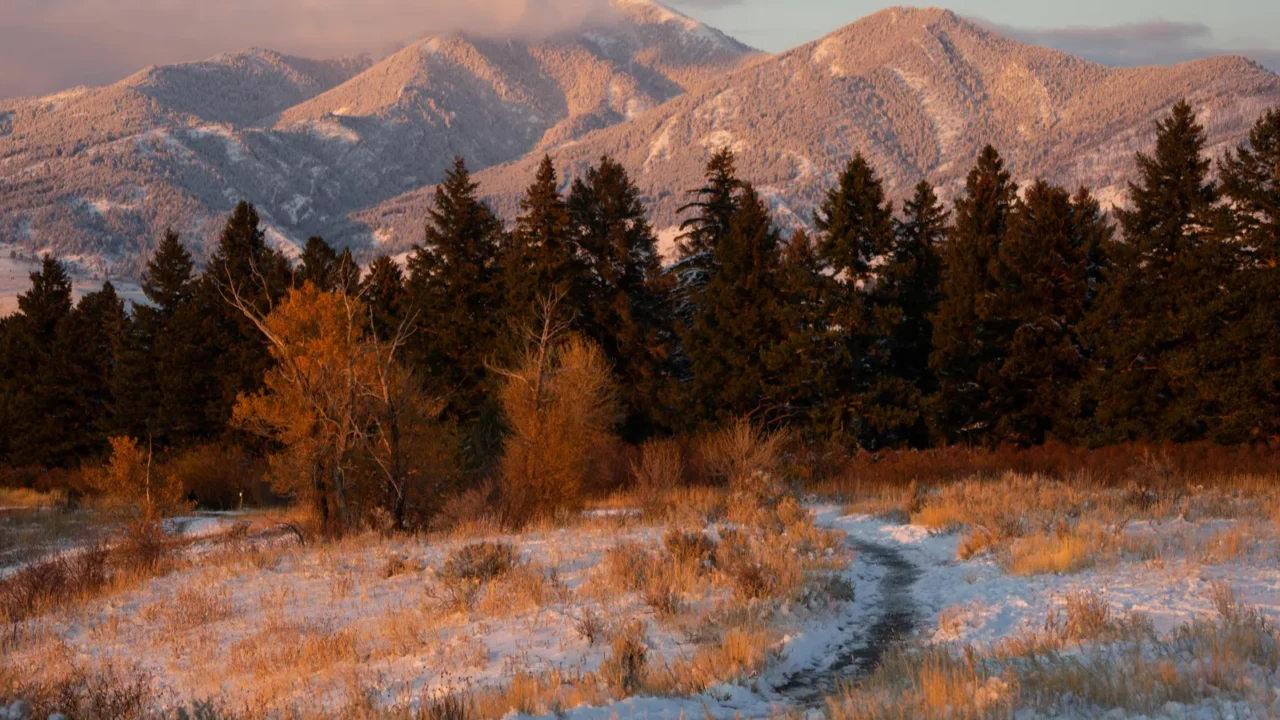 Alpenglow on the Bridger Mountains in Bozeman, Montana.