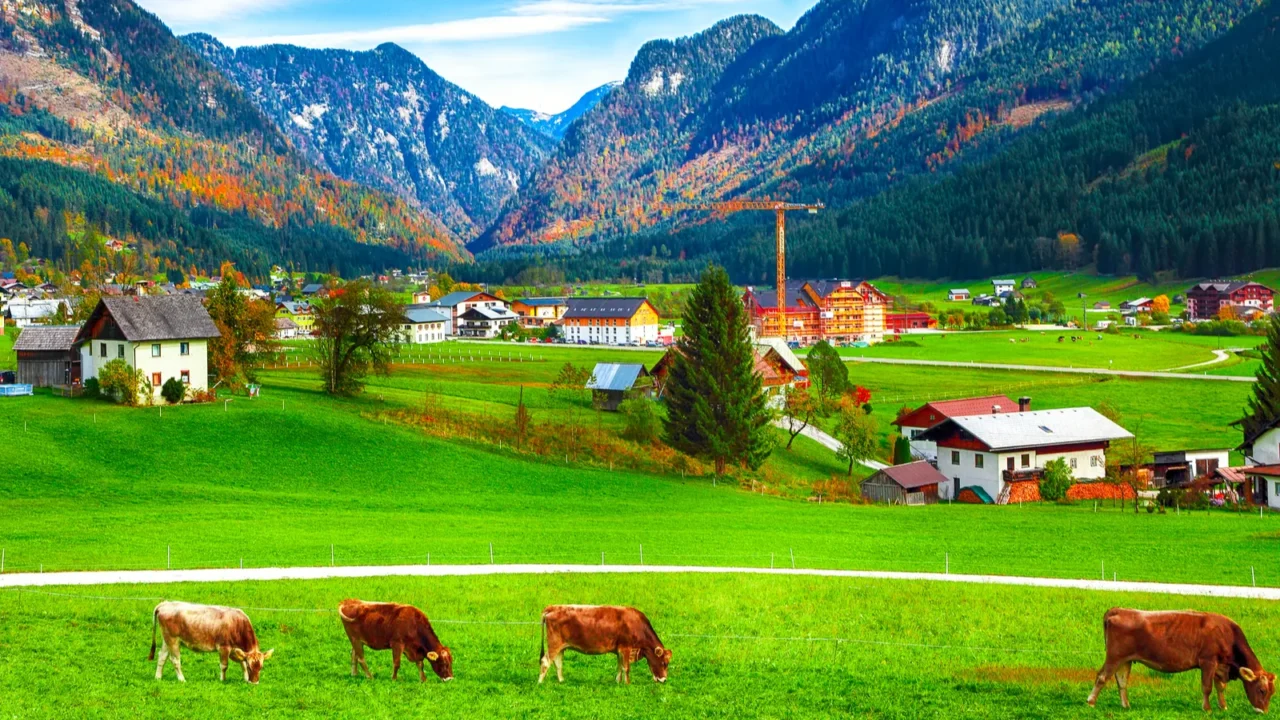 alpine green fields and traditional wooden houses view of the