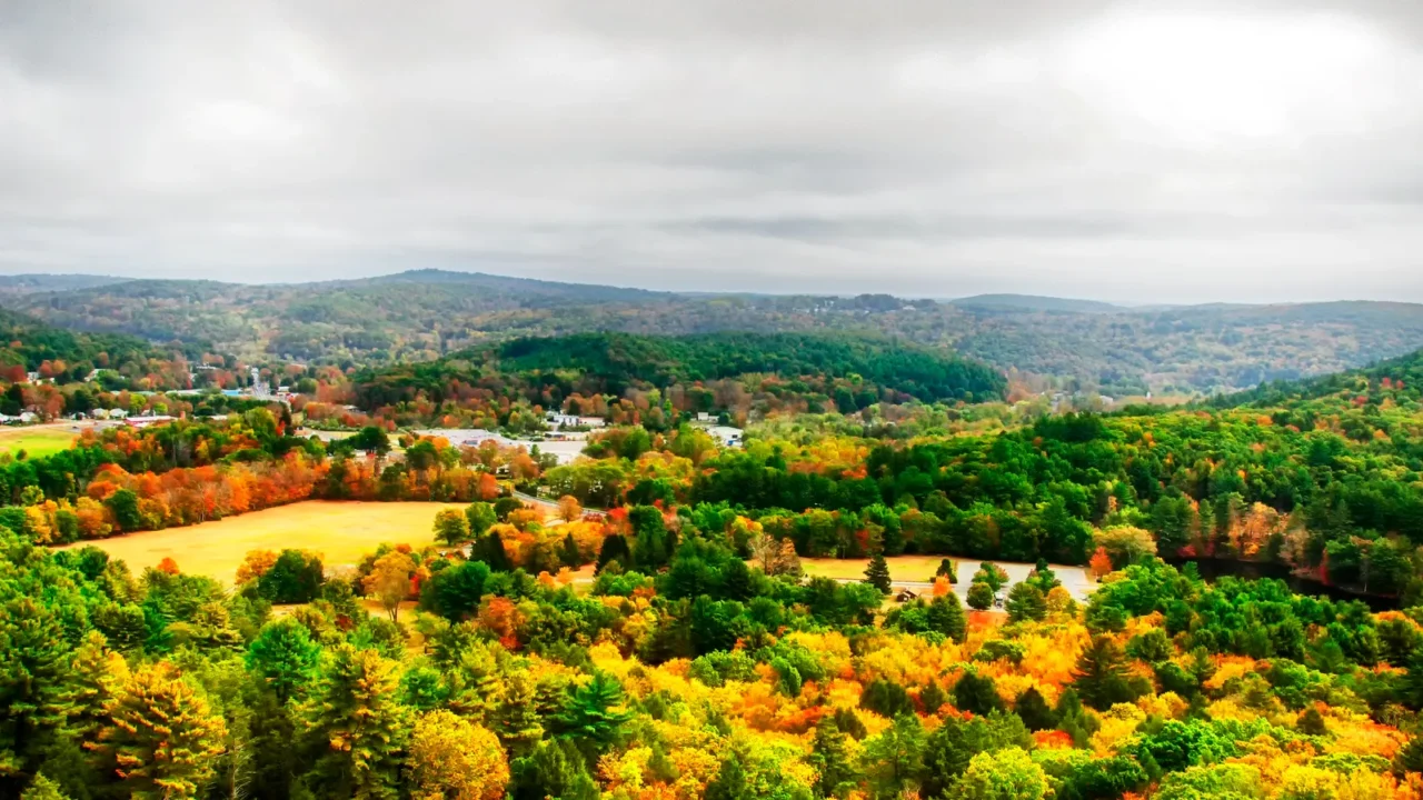 an elevated view of the fall foliage at black rock