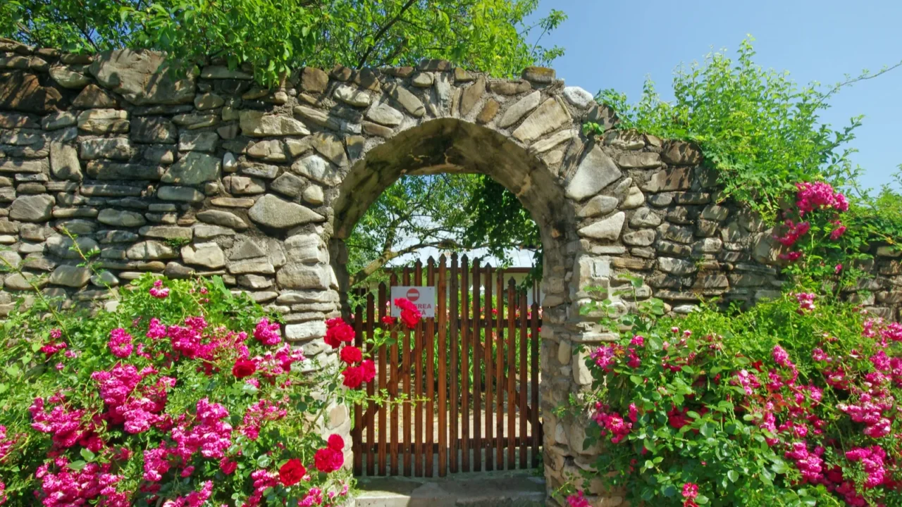 ancient wall with flowers