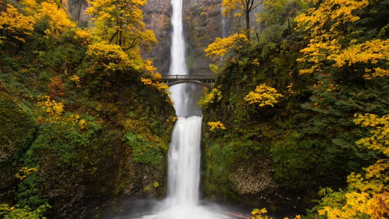 autumn at multnomah falls oregon