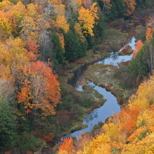 12 Midwest fall color escapes to plan this season