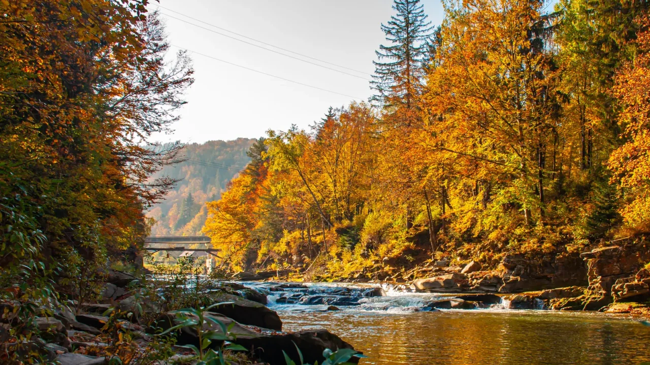 autumn landscape with a mountain river and a bridge in