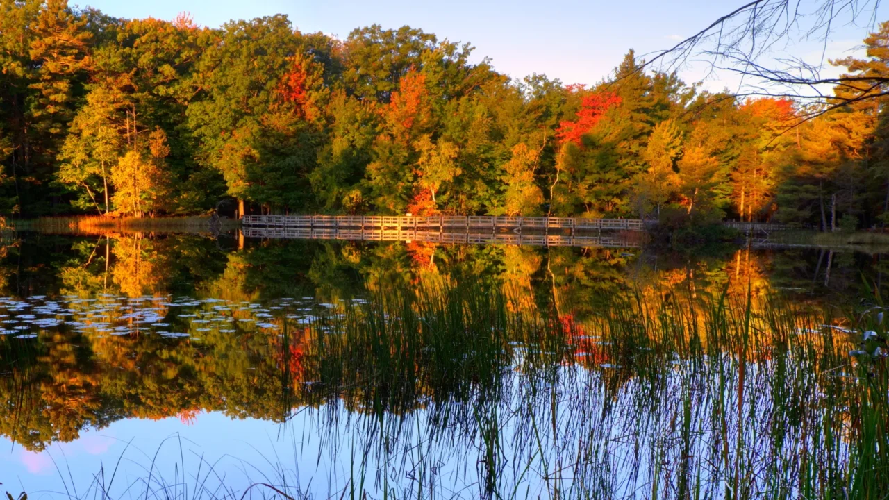 autumn reflections