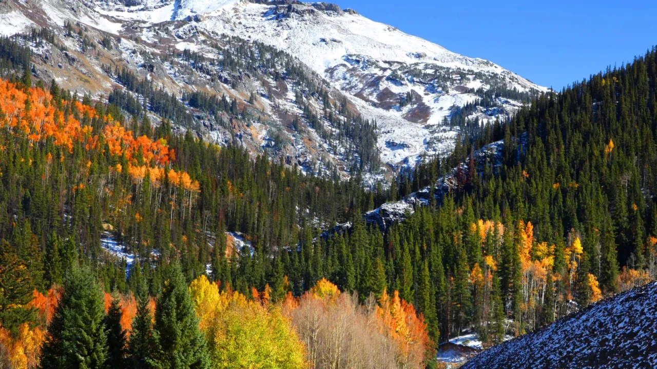 beautiful autumn scene