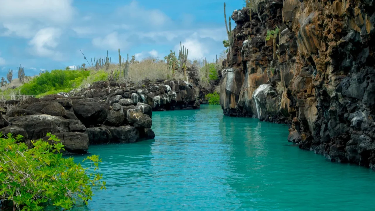 beautiful landmark las grietas is a geological canyon formation in