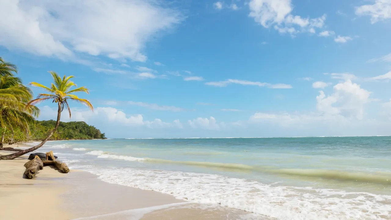 beautiful tropical pacific ocean coast in costa rica