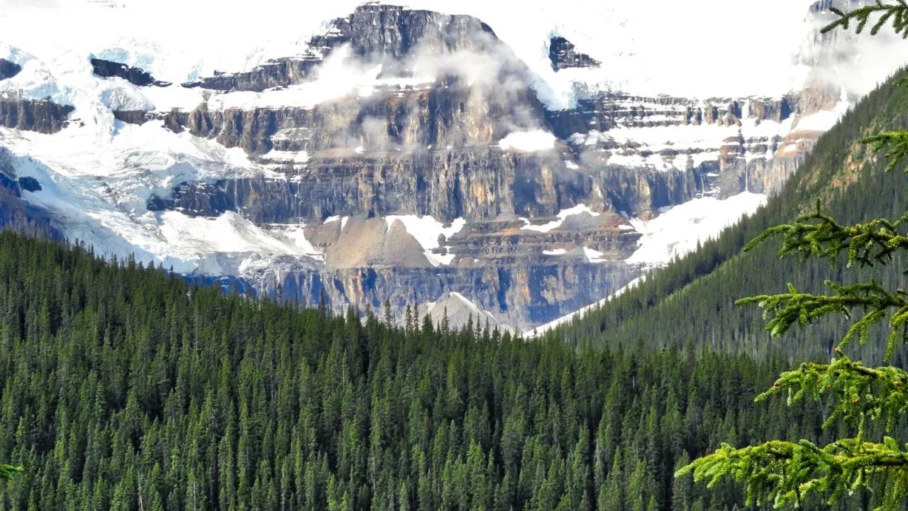 canadian rockies saskatchewan crossing scenic mountain views and landscapes