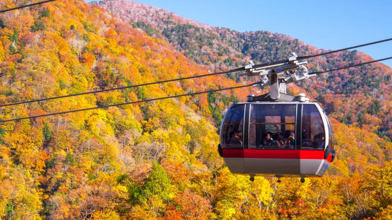 car in autumn mountain autumn trees