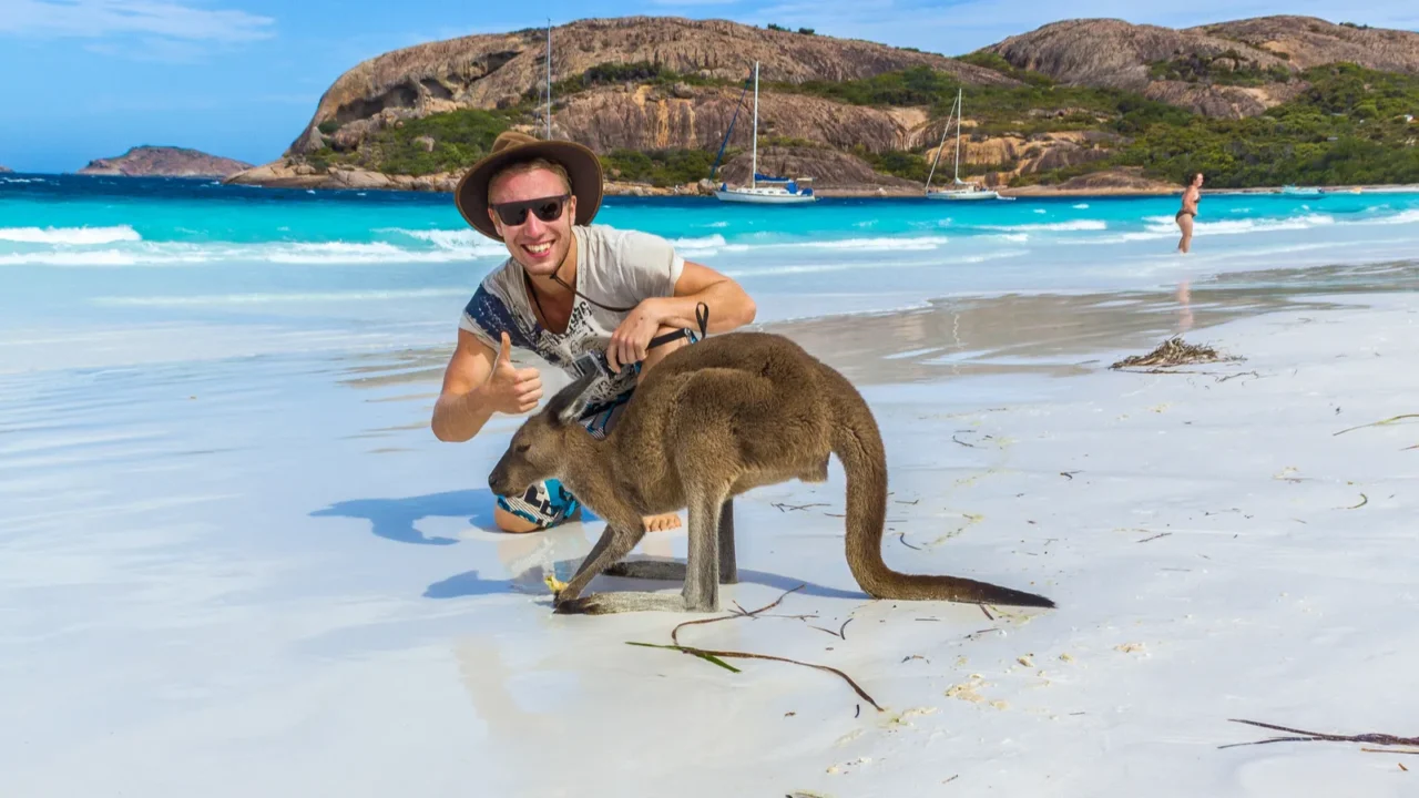 caucasian man with a beautiful kangaroo at lucky bay beach