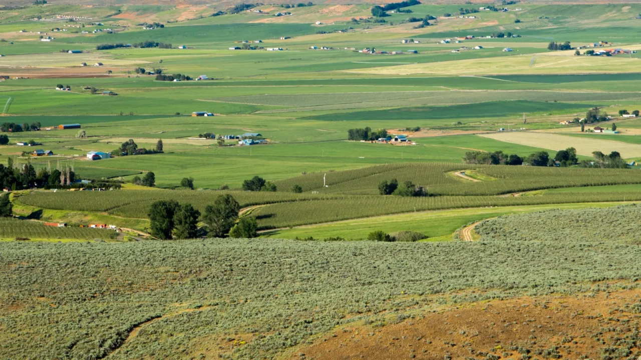 ellensburg hills in western washington