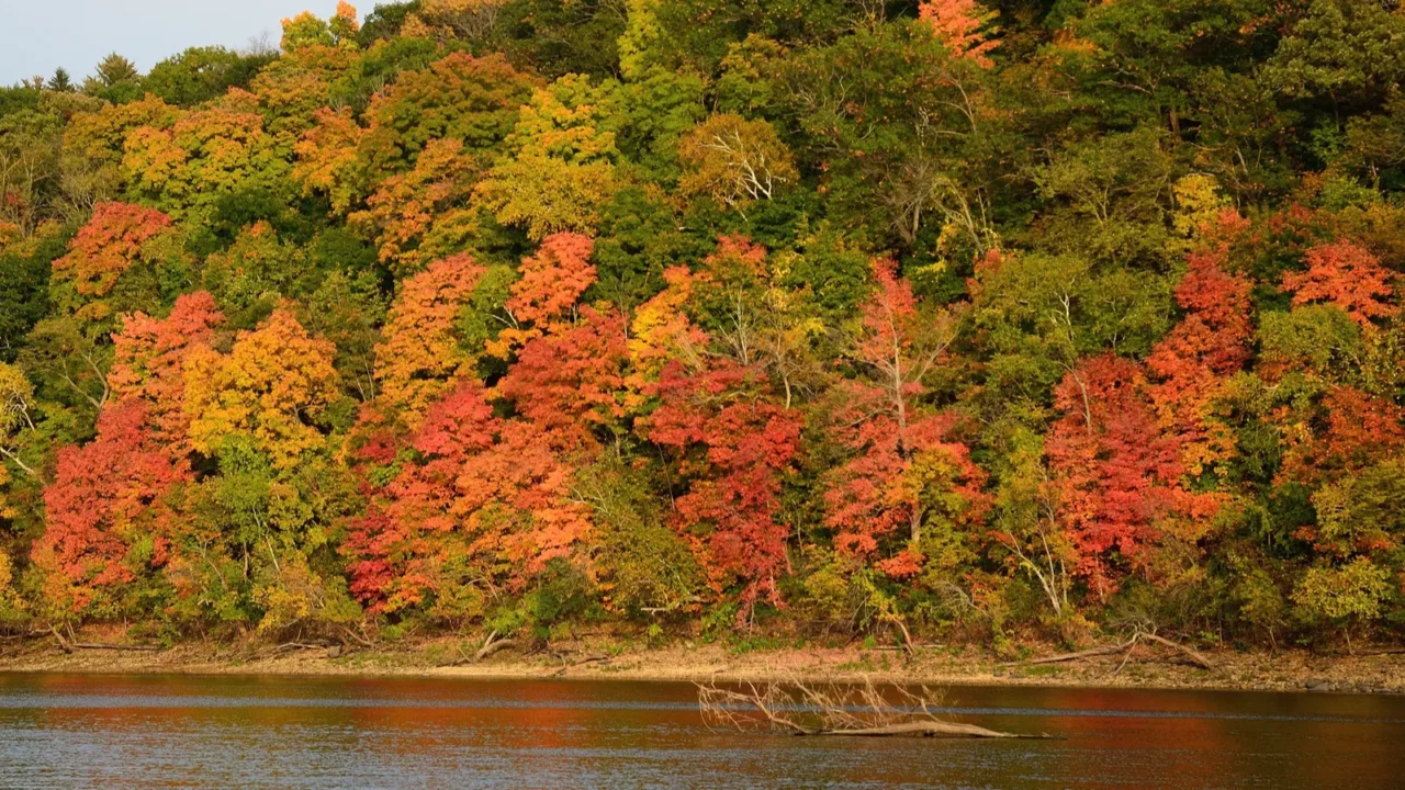 fall colors along the st croix river