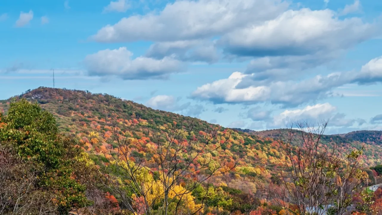 fall mountain landscape