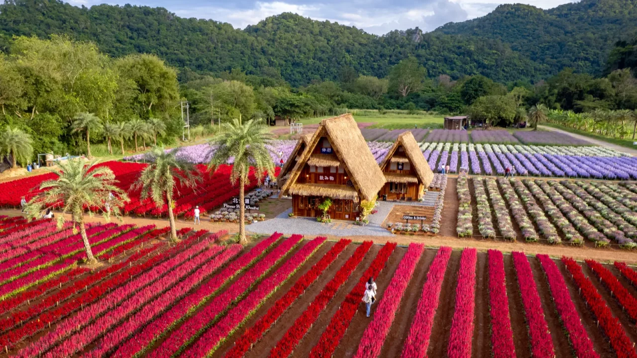 flower garden hokkaido park in khao yai thailand south east