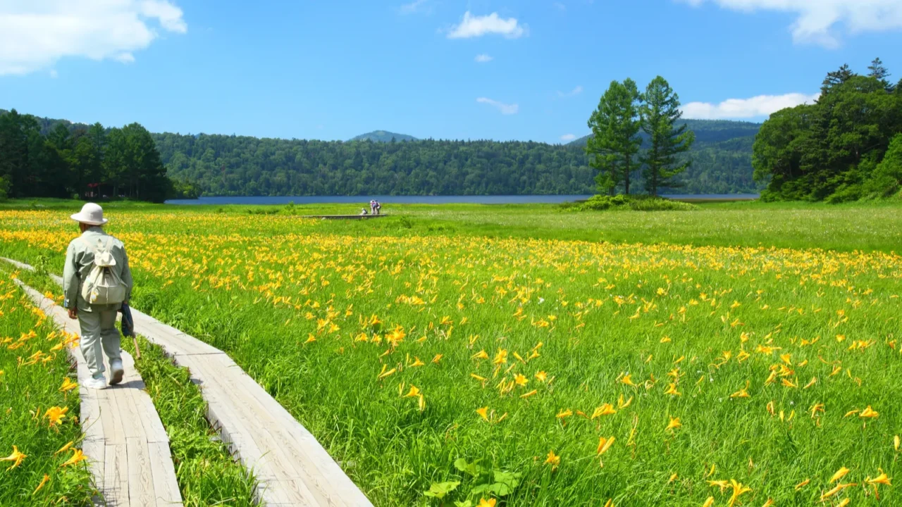 flowers of oze national park