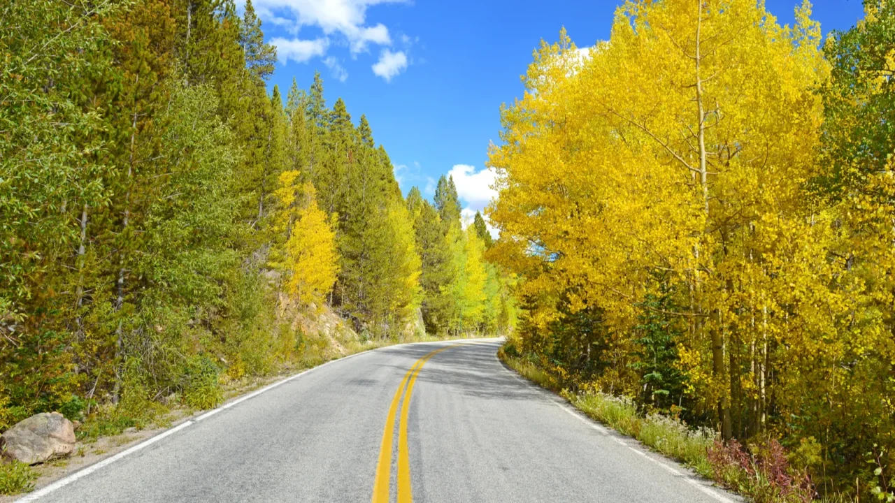 golden aspen and fall foliage in the rocky mountains