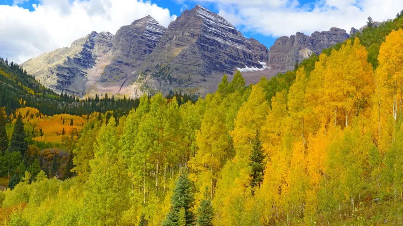 golden aspen and fall foliage in the rocky mountains