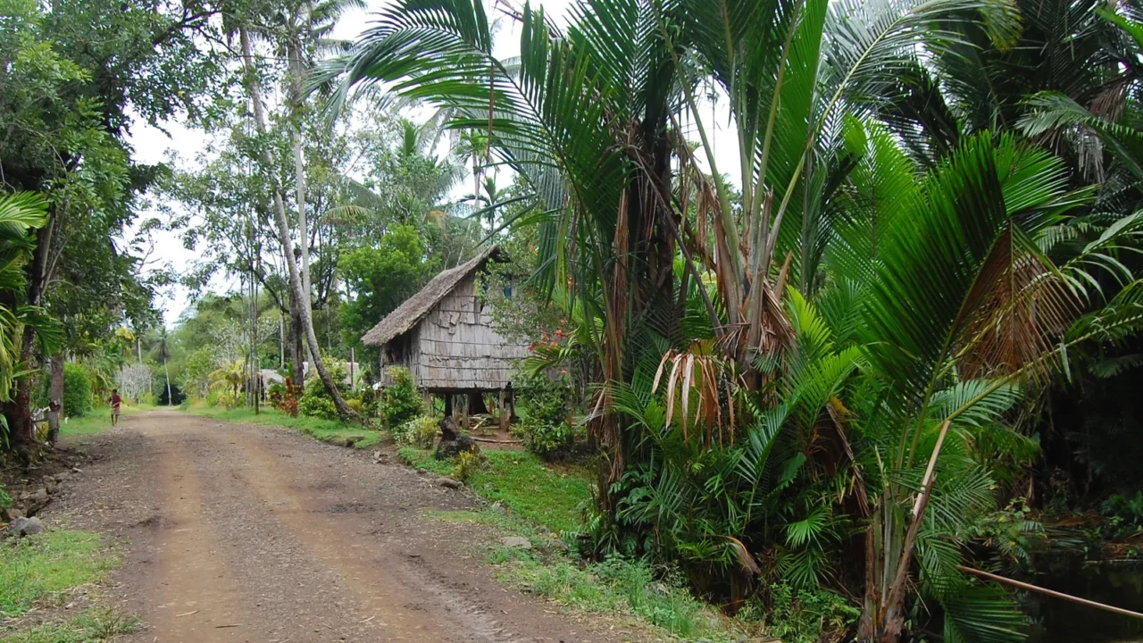 gravel road in village papua new guinea