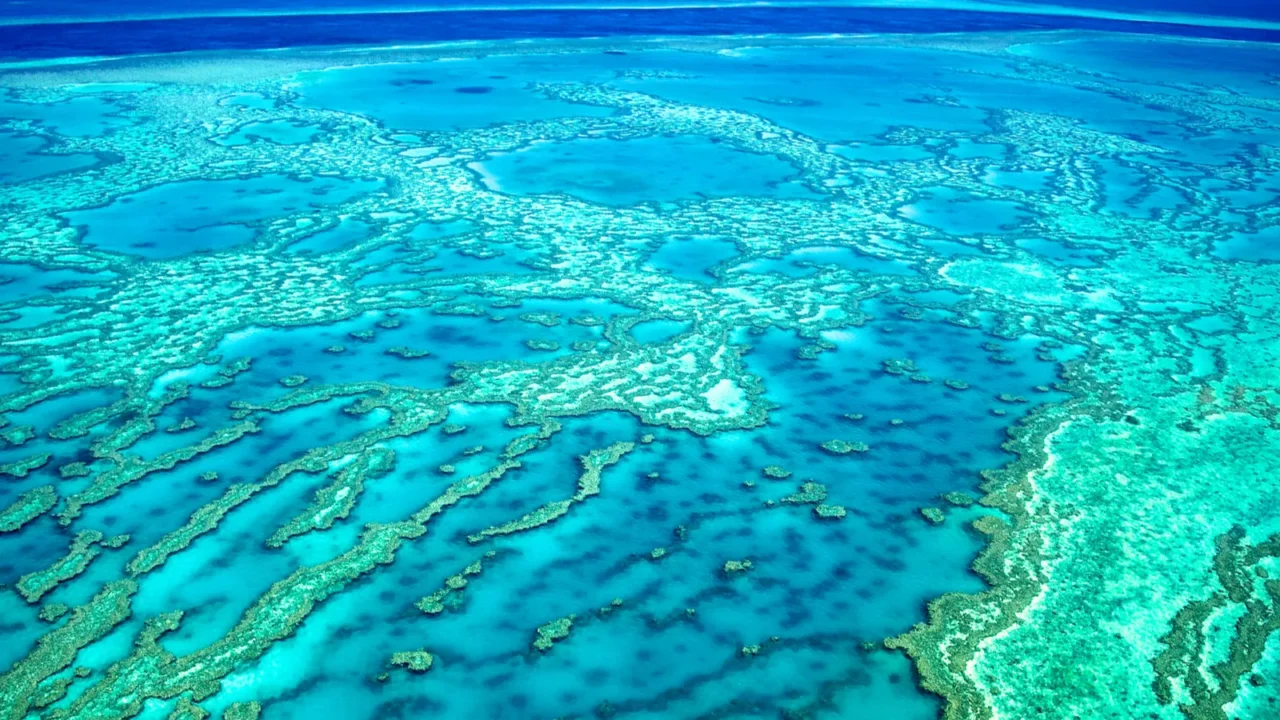 great barrier reef