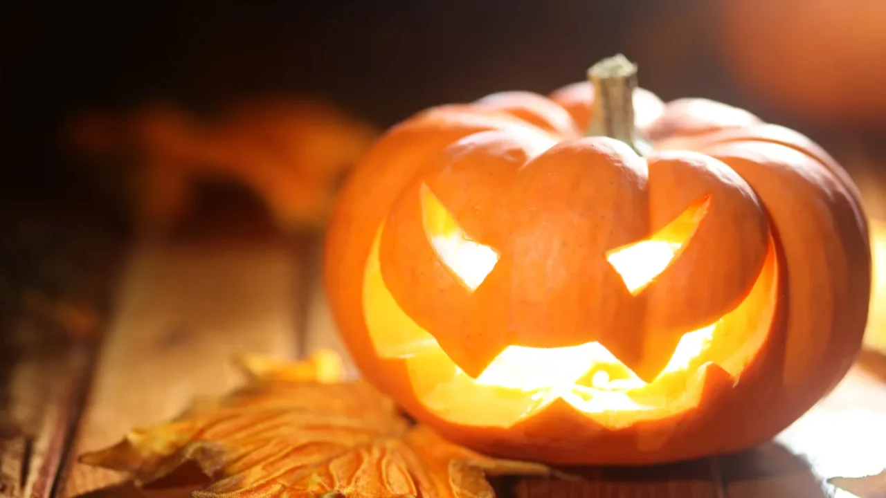 halloween jack o lantern background