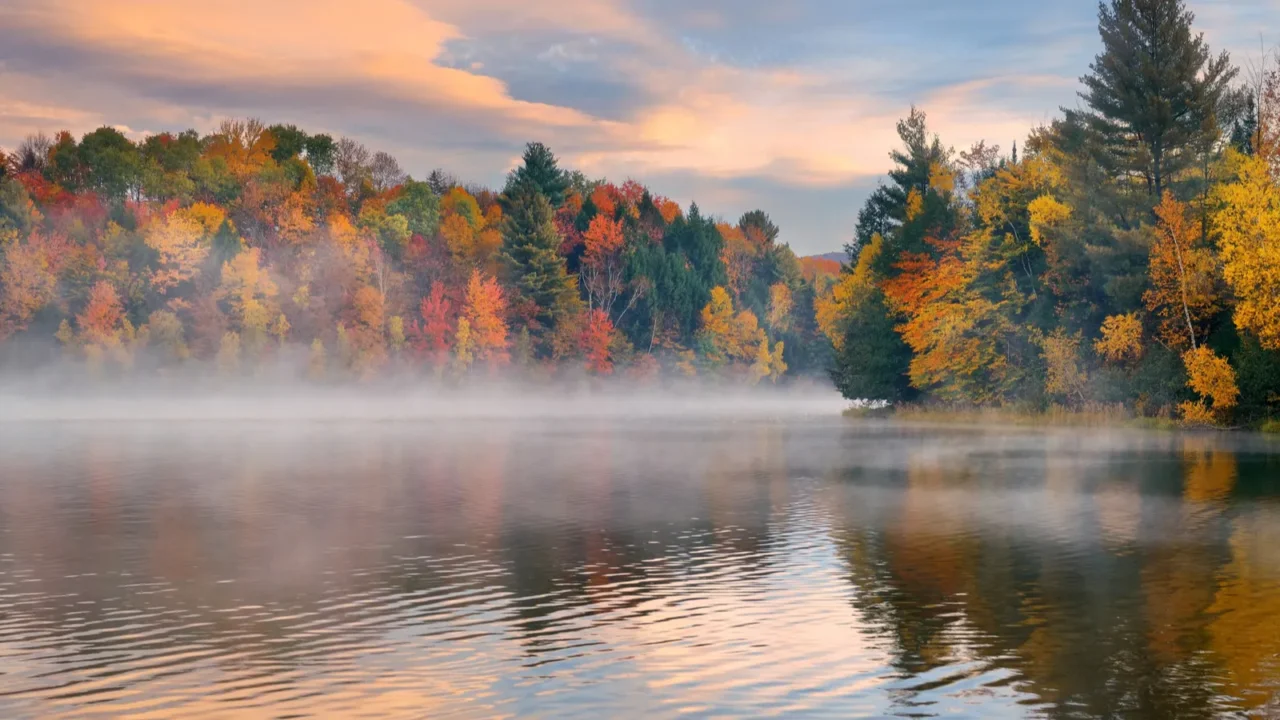 lake autumn foliage