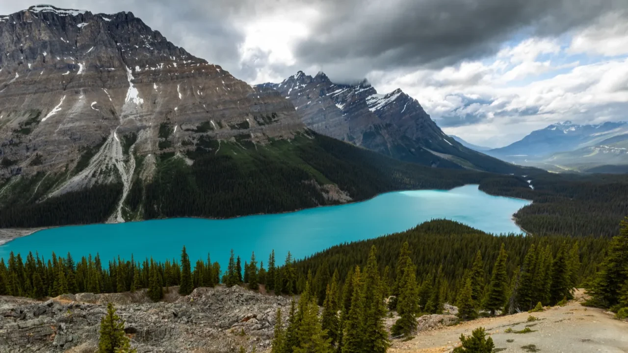 lake peyto of banff national park in canada